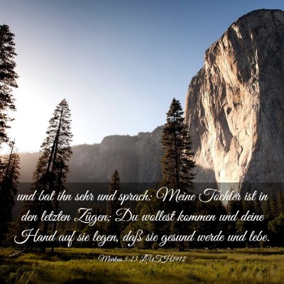 Picture 03 - Markus 5:23 LUTH1912 - und bat ihn sehr und sprach: Meine Tochter ist in - Bible Verse Picture
