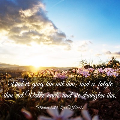 Picture 03 - Markus 5:24 LUTH1912 - Und er ging hin mit ihm; und es folgte ihm viel - Bible Verse Picture
