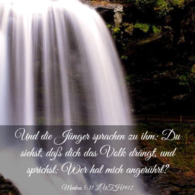 Picture 03 - Markus 5:31 LUTH1912 - Und die Jünger sprachen zu ihm: Du siehst, daß - Bible Verse Picture