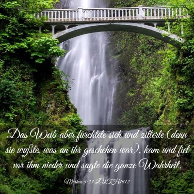 Picture 03 - Markus 5:33 LUTH1912 - Das Weib aber fürchtete sich und zitterte (denn - Bible Verse Picture