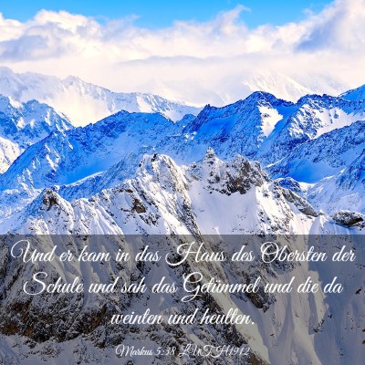 Picture 03 - Markus 5:38 LUTH1912 - Und er kam in das Haus des Obersten der Schule - Bible Verse Picture