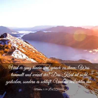 Picture 03 - Markus 5:39 LUTH1912 - Und er ging hinein und sprach zu ihnen: Was - Bible Verse Picture