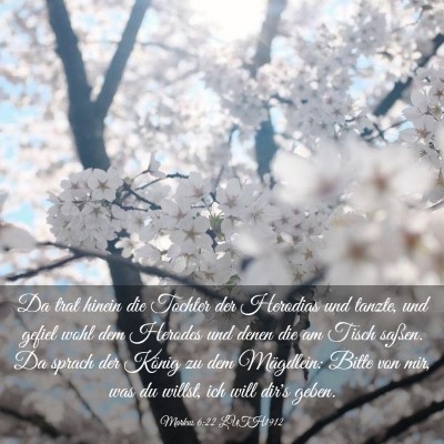 Picture 03 - Markus 6:22 LUTH1912 - Da trat hinein die Tochter der Herodias und - Bible Verse Picture