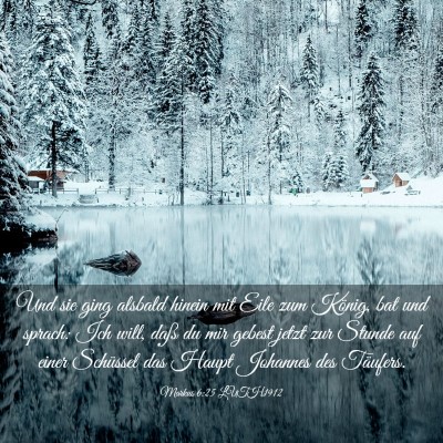 Picture 03 - Markus 6:25 LUTH1912 - Und sie ging alsbald hinein mit Eile zum König, - Bible Verse Picture