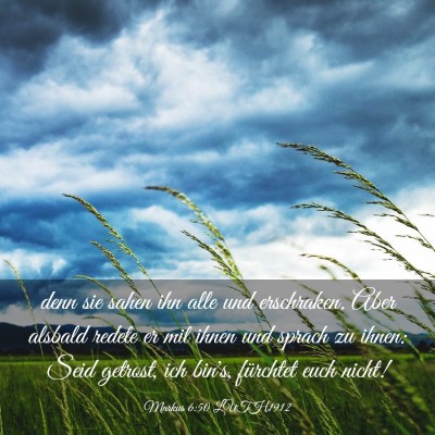 Picture 03 - Markus 6:50 LUTH1912 - denn sie sahen ihn alle und erschraken. Aber - Bible Verse Picture