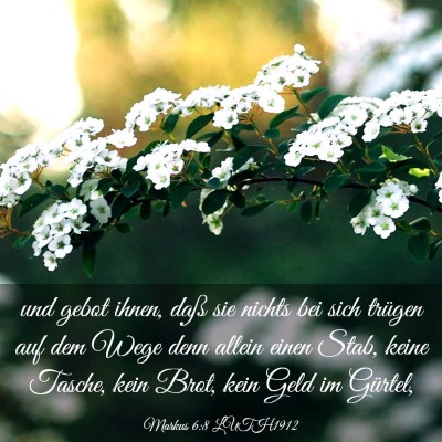 Picture 03 - Markus 6:8 LUTH1912 - und gebot ihnen, daß sie nichts bei sich trügen - Bible Verse Picture