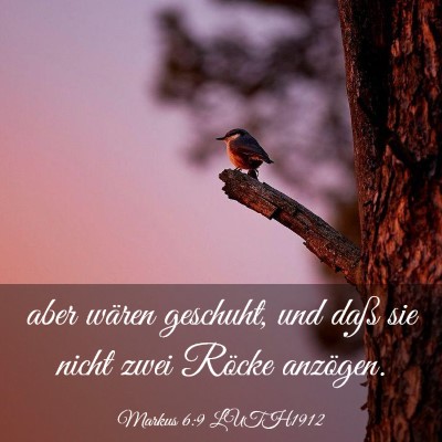 Picture 03 - Markus 6:9 LUTH1912 - aber wären geschuht, und daß sie nicht zwei - Bible Verse Picture