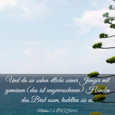 Picture 03 - Markus 7:2 LUTH1912 - Und da sie sahen etliche seiner Jünger mit - Bible Verse Picture