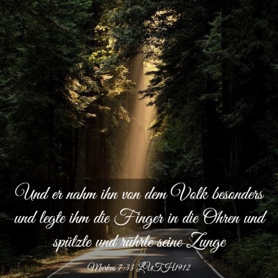Picture 03 - Markus 7:33 LUTH1912 - Und er nahm ihn von dem Volk besonders und legte - Bible Verse Picture