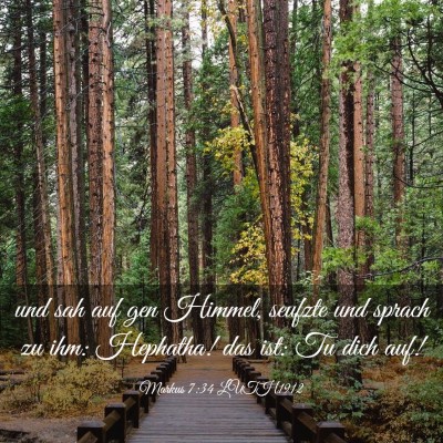 Picture 03 - Markus 7:34 LUTH1912 - und sah auf gen Himmel, seufzte und sprach zu - Bible Verse Picture