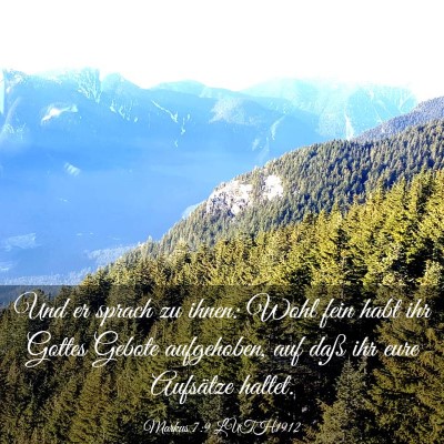 Picture 03 - Markus 7:9 LUTH1912 - Und er sprach zu ihnen: Wohl fein habt ihr Gottes - Bible Verse Picture