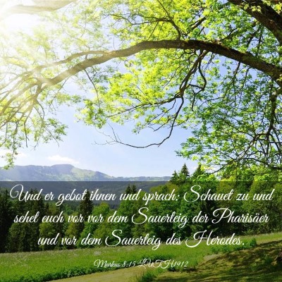 Picture 03 - Markus 8:15 LUTH1912 - Und er gebot ihnen und sprach: Schauet zu und - Bible Verse Picture