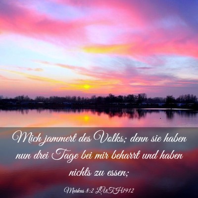Picture 03 - Markus 8:2 LUTH1912 - Mich jammert des Volks; denn sie haben nun drei - Bible Verse Picture