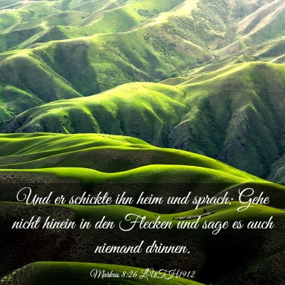 Picture 03 - Markus 8:26 LUTH1912 - Und er schickte ihn heim und sprach: Gehe nicht - Bible Verse Picture