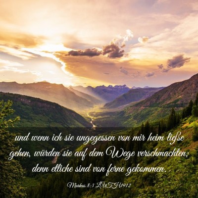 Picture 03 - Markus 8:3 LUTH1912 - und wenn ich sie ungegessen von mir heim ließe - Bible Verse Picture