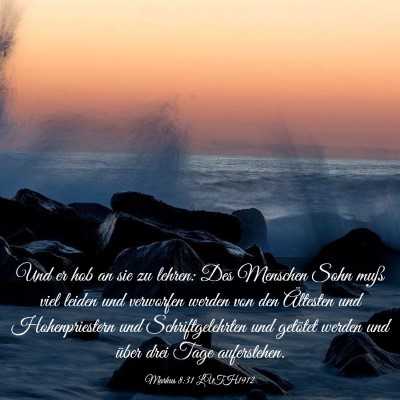 Picture 03 - Markus 8:31 LUTH1912 - Und er hob an sie zu lehren: Des Menschen Sohn - Bible Verse Picture
