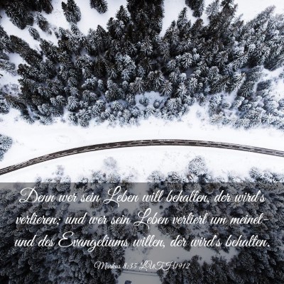 Picture 03 - Markus 8:35 LUTH1912 - Denn wer sein Leben will behalten, der wird's - Bible Verse Picture