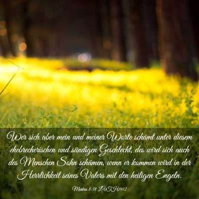 Picture 03 - Markus 8:38 LUTH1912 - Wer sich aber mein und meiner Worte schämt unter - Bible Verse Picture