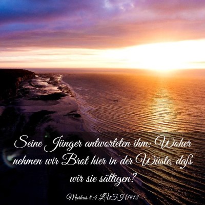 Picture 03 - Markus 8:4 LUTH1912 - Seine Jünger antworteten ihm: Woher nehmen wir - Bible Verse Picture