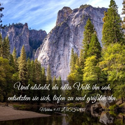 Picture 03 - Markus 9:15 LUTH1912 - Und alsbald, da alles Volk ihn sah, entsetzten - Bible Verse Picture