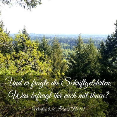 Picture 03 - Markus 9:16 LUTH1912 - Und er fragte die Schriftgelehrten: Was befragt - Bible Verse Picture