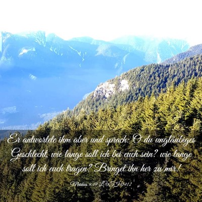 Picture 03 - Markus 9:19 LUTH1912 - Er antwortete ihm aber und sprach: O du - Bible Verse Picture