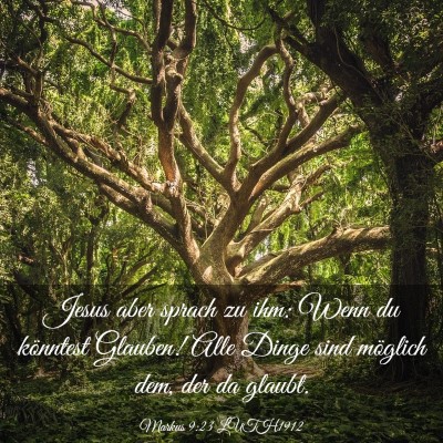 Picture 03 - Markus 9:23 LUTH1912 - Jesus aber sprach zu ihm: Wenn du könntest - Bible Verse Picture