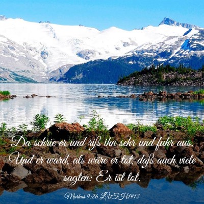 Picture 03 - Markus 9:26 LUTH1912 - Da schrie er und riß ihn sehr und fuhr aus. Und - Bible Verse Picture