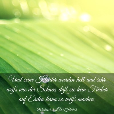 Picture 03 - Markus 9:3 LUTH1912 - Und seine Kleider wurden hell und sehr weiß wie - Bible Verse Picture