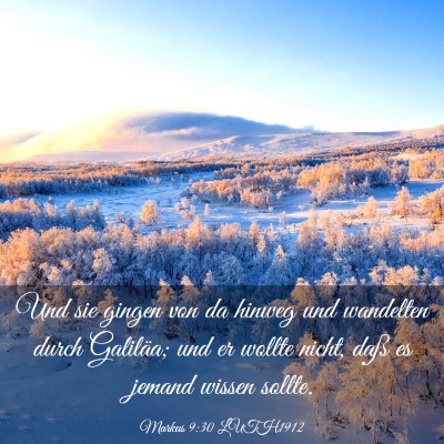 Picture 03 - Markus 9:30 LUTH1912 - Und sie gingen von da hinweg und wandelten durch - Bible Verse Picture