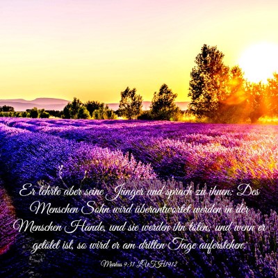 Picture 03 - Markus 9:31 LUTH1912 - Er lehrte aber seine Jünger und sprach zu ihnen: - Bible Verse Picture