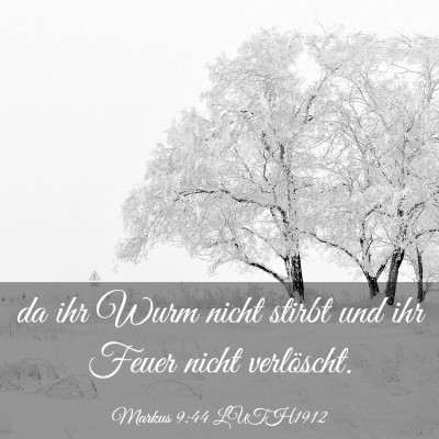 Picture 03 - Markus 9:44 LUTH1912 - da ihr Wurm nicht stirbt und ihr Feuer nicht - Bible Verse Picture