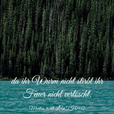 Picture 03 - Markus 9:48 LUTH1912 - da ihr Wurm nicht stirbt ihr Feuer nicht - Bible Verse Picture