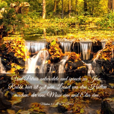Picture 03 - Markus 9:5 LUTH1912 - Und Petrus antwortete und sprach zu Jesu: Rabbi, - Bible Verse Picture
