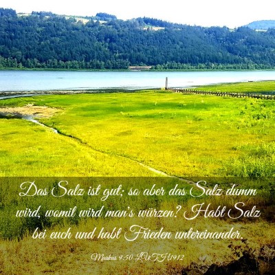 Picture 03 - Markus 9:50 LUTH1912 - Das Salz ist gut; so aber das Salz dumm wird, - Bible Verse Picture