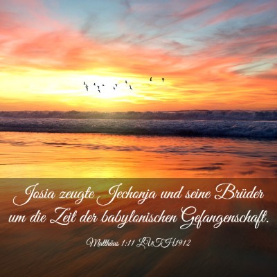 Picture 03 - Matthäus 1:11 LUTH1912 - Josia zeugte Jechonja und seine Brüder um die - Bible Verse Picture
