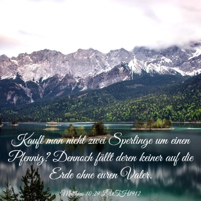 Picture 03 - Matthäus 10:29 LUTH1912 - Kauft man nicht zwei Sperlinge um einen Pfennig? - Bible Verse Picture