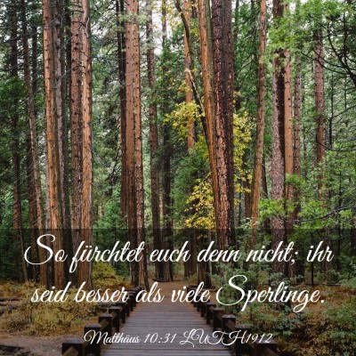 Picture 03 - Matthäus 10:31 LUTH1912 - So fürchtet euch denn nicht; ihr seid besser als - Bible Verse Picture