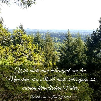 Picture 03 - Matthäus 10:33 LUTH1912 - Wer mich aber verleugnet vor den Menschen, den - Bible Verse Picture