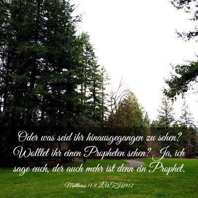 Picture 03 - Matthäus 11:9 LUTH1912 - Oder was seid ihr hinausgegangen zu sehen? - Bible Verse Picture