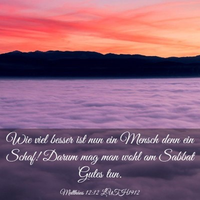 Picture 03 - Matthäus 12:12 LUTH1912 - Wie viel besser ist nun ein Mensch denn ein - Bible Verse Picture