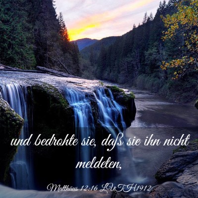 Picture 03 - Matthäus 12:16 LUTH1912 - und bedrohte sie, daß sie ihn nicht - Bible Verse Picture