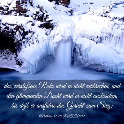 Picture 03 - Matthäus 12:20 LUTH1912 - das zerstoßene Rohr wird er nicht zerbrechen, - Bible Verse Picture