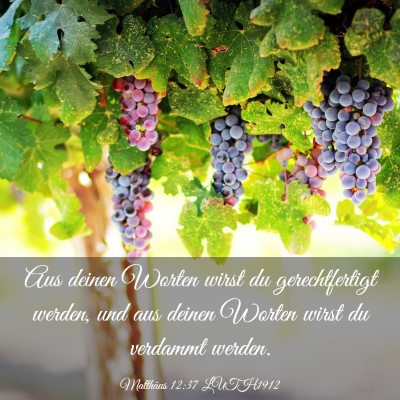 Picture 03 - Matthäus 12:37 LUTH1912 - Aus deinen Worten wirst du gerechtfertigt werden, - Bible Verse Picture