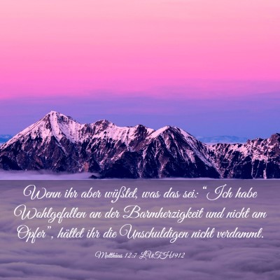 Picture 03 - Matthäus 12:7 LUTH1912 - Wenn ihr aber wüßtet, was das sei: “Ich habe - Bible Verse Picture