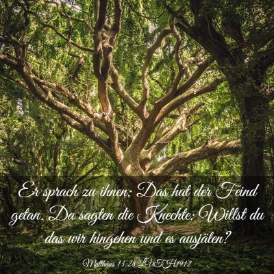 Picture 03 - Matthäus 13:28 LUTH1912 - Er sprach zu ihnen: Das hat der Feind getan. Da - Bible Verse Picture