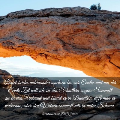 Picture 03 - Matthäus 13:30 LUTH1912 - Lasset beides miteinander wachsen bis zur Ernte; - Bible Verse Picture
