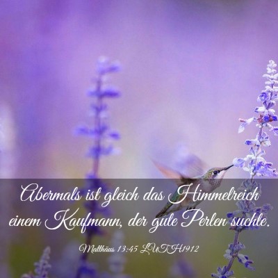 Picture 03 - Matthäus 13:45 LUTH1912 - Abermals ist gleich das Himmelreich einem - Bible Verse Picture