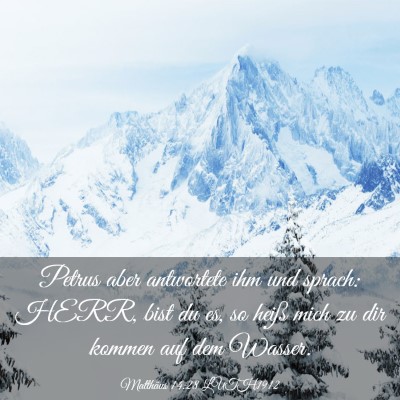 Picture 03 - Matthäus 14:28 LUTH1912 - Petrus aber antwortete ihm und sprach: HERR, bist - Bible Verse Picture