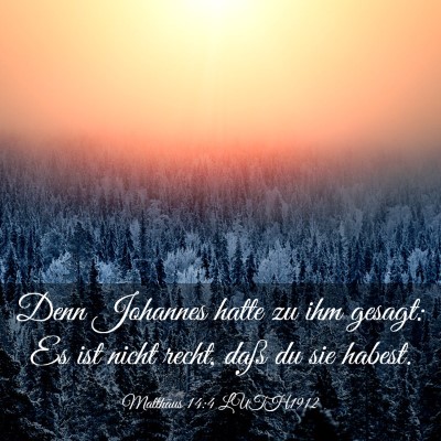 Picture 03 - Matthäus 14:4 LUTH1912 - Denn Johannes hatte zu ihm gesagt: Es ist nicht - Bible Verse Picture